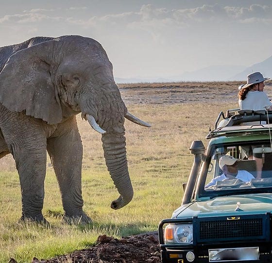 mada-island-afrique-4