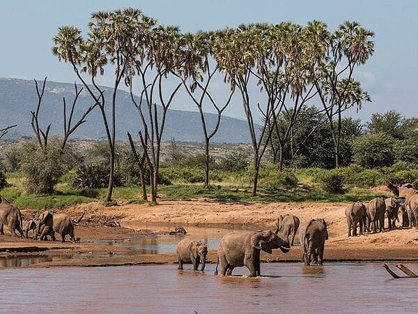 mada-island-afrique-6