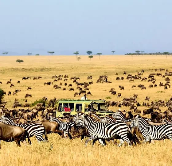 mada-island-afrique-7