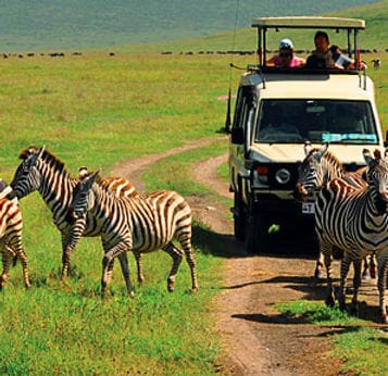 mada-island-afrique-9