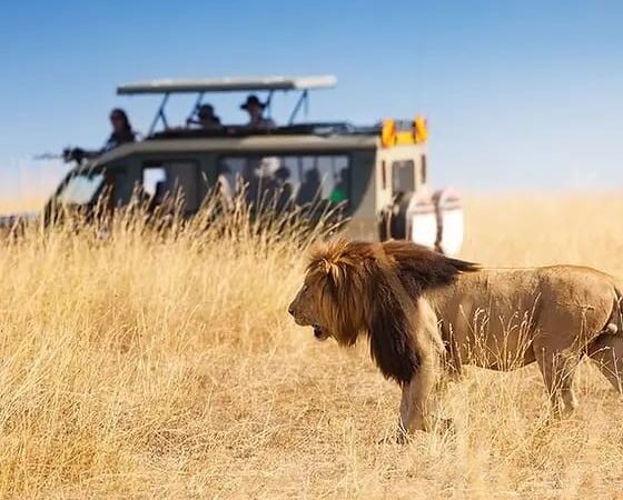 Kenya Masai Mara Classic Safari